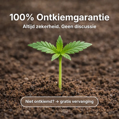 Hy-Seeds Seed Starter 5mL